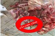 ضبط و معدوم سازی لاشه گاو به علت کشتار غیر مجاز